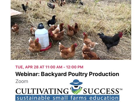 There are 441 backyard poultry for sale on etsy, and they cost $18.60 on. 4/28: WEBINAR: Cultivating Success Small Farm & Ranch ...