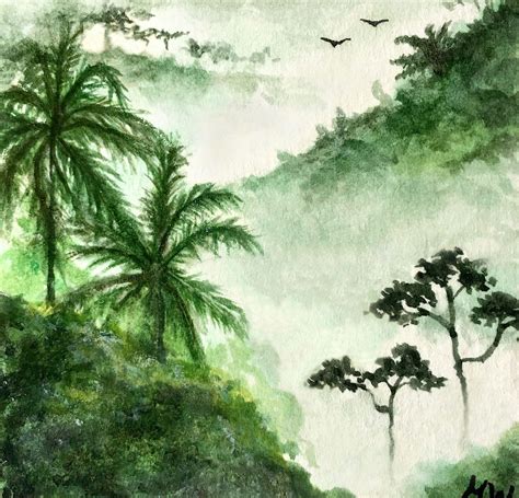 Watercolor Rainforestrainforest Watercolor Jungle Art Tree Drawing