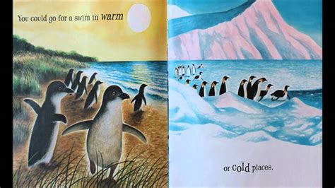 Expressions of hope coloring book joanne fink. If You Were a Penguin - YouTube