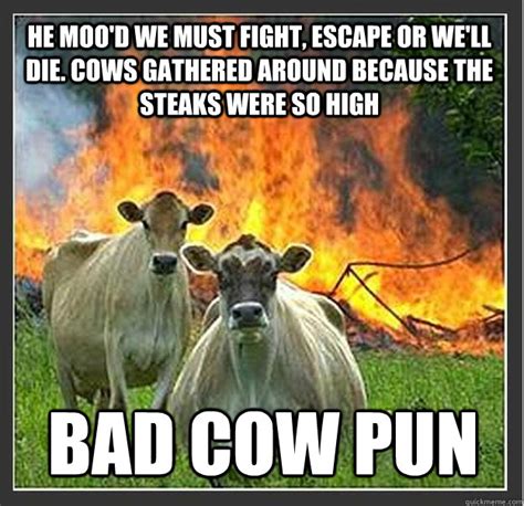 He Mood We Must Fight Escape Or Well Die Cows Gathered Around