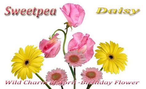Happy Birthday April Birthday Babies Page 5 Blogs