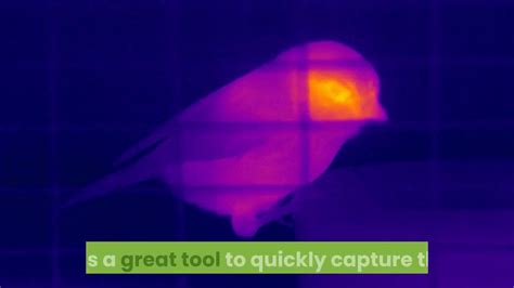 Overheating is a leading cause of computer problems. what is thermal imaging used for how does thermal imaging ...