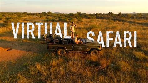 Virtual Safari Africa 2020 Youtube