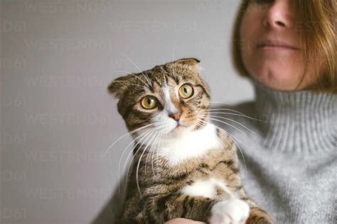 Woman Holding Beautiful Cat On White Background Stock Photo