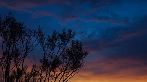 Download Wallpaper 2048x1152 Sunset Trees Sky Evening Night