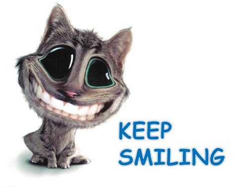 Keep Smiling Funny Cat Wallpaper Funny Cats Funny Animal Images