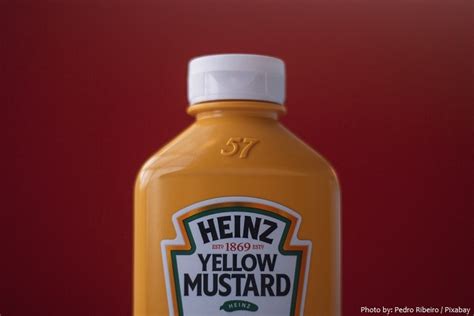 Interesting Facts About Mustard Just Fun Facts