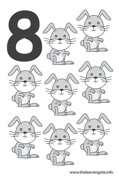 Number Eight Flashcard 8 Rabbits The Learning Site