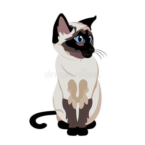 Cartoon Cute Siamese Cat Illustration Isolated Stock Illustration