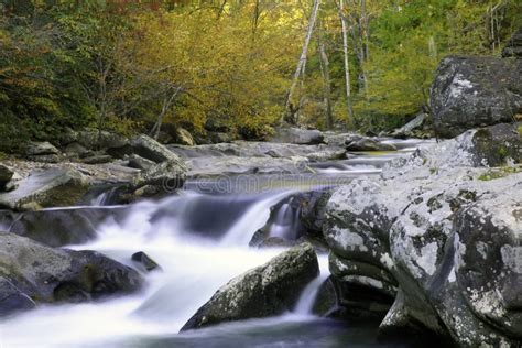 Smoky Mountain Fall Stream Stock Photo Image Of National 48471258