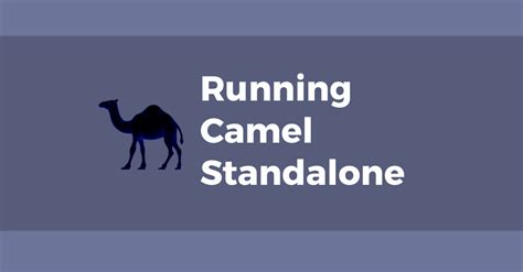 It allocates messages based on the related routes. Running Apache Camel standalone | Tom Donohue