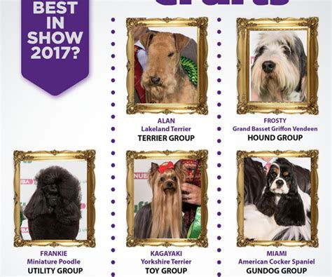 Crufts 2017 When Is Best In Show Latest On Dog Winners Nature