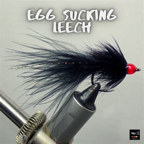 Egg Sucking Leech 6 Pack Paypal