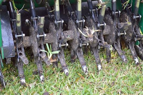 Located at 108 s st cloud avenue in valrico, fl, our services are available to clients throughout central florida and other neighboring communities. Core Aeration, Plant City, FL | The Other Side Lawn ...