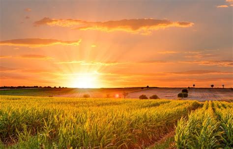 Some years summer arrives on june 20, and other years it starts. When is the first day of summer? Why is it a solstice ...
