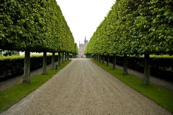 Gravel driveway and crushed stone driveways can be seen all over. Permits (part 2) | Tiny Life