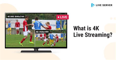 What Is 4k Live Streaming Muvi One