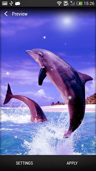 Dolphin Live Wallpaper For Android Dolphin Free Download