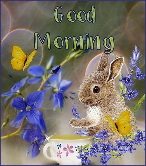 Bunny And Coffee Morning Quote Pictures Photos And Images For