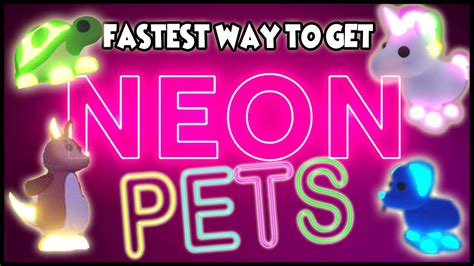 How To Make Neon Pets Faster Adopt Me Roblox Otosection