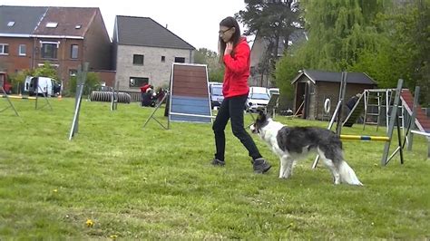 On top of the world ~ Doggone Day 2015 ♡ - YouTube