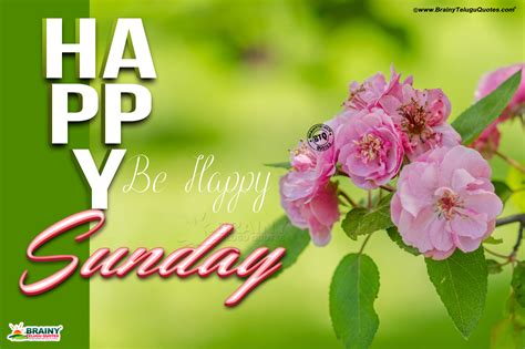 Happy Sunday Trending English 3d Wallpapers Greetings Free