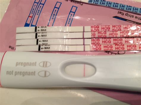 Definite Bfp On Wondfo 9 And 10 Dpo Definite Bfn On Frer With Same Cup