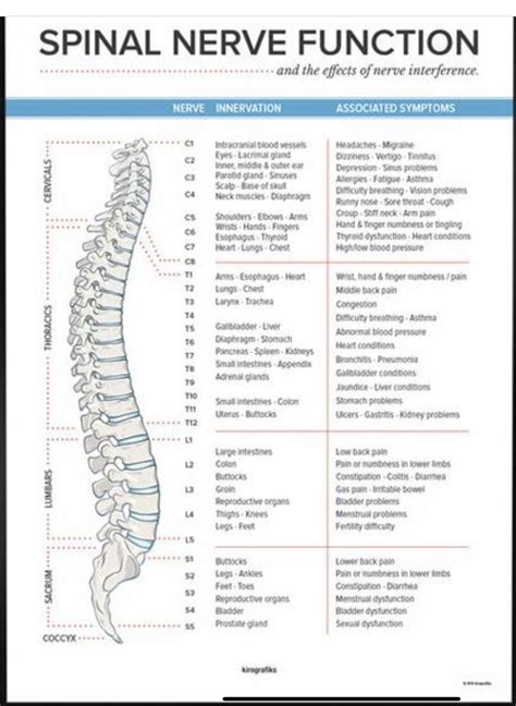 The Spiral Nerve Function Chart With Instructions For Each Section And
