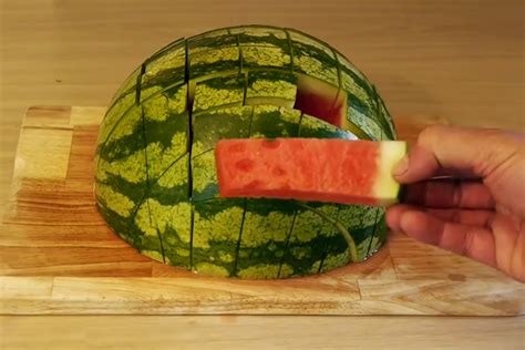 Konon, cara ini dapat menggantikan tangkai buah dan membuat buah alpukat merasa seperti masih tergantung di. Ternyata, Cara Kita Memotong Semangka Selama Ini Salah ...