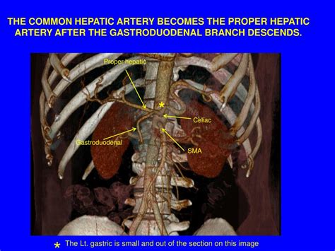 Ppt M 2 Hepatobiliary Imaging Powerpoint Presentation Free Download