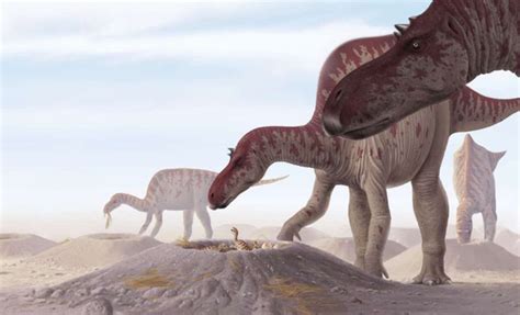Maiasaura Nest Jurassic Park Dinossauros Animais