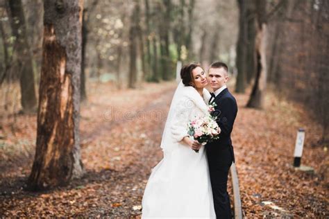 Romantic Wedding Moment Couple Of Newlyweds Smiling Portrait Bride