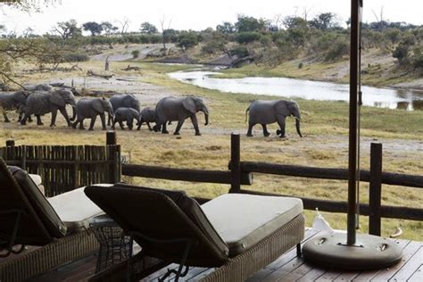 Savute Safari Lodge Bewertungen And Fotos Chobe National Park Botswana Tripadvisor