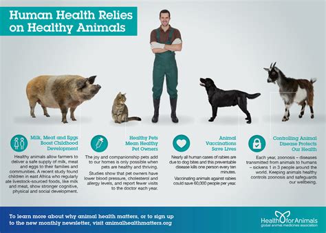 Why Does Animal Health Matter? - HealthforAnimals