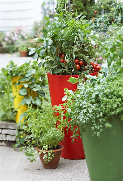 19 Ways To Grow Vegetables In Containers That Will Look As Gorgeous As