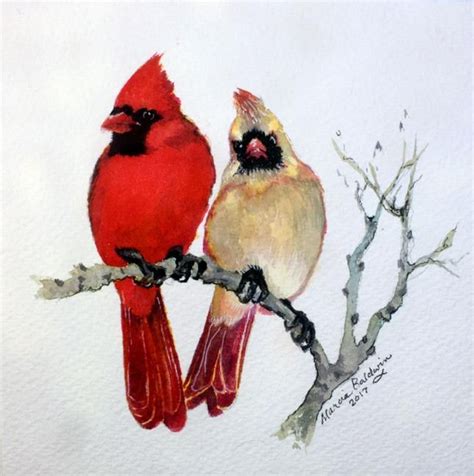 Out On A Limb The Sassy Cardinal Pair Bird Art Art Prints Watercolor Bird