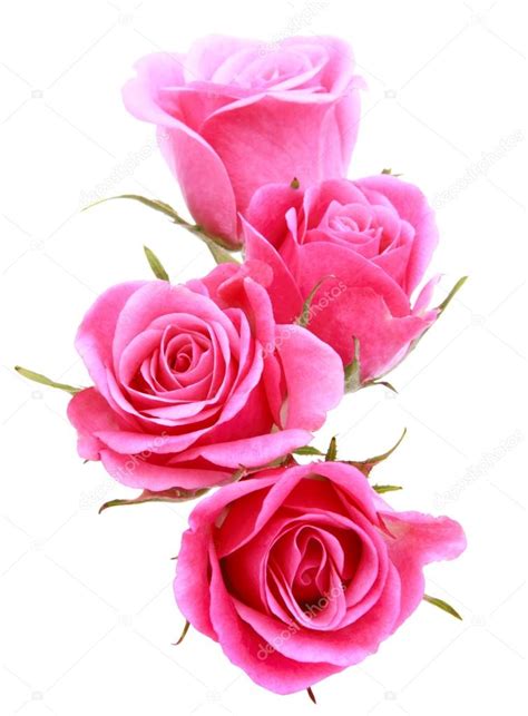 Pink Rose Flower Bouquet Stock Photo By ©natika 36451485