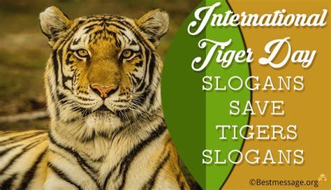 38 Best Tiger Day Slogans Save Tigers Slogans Taglines