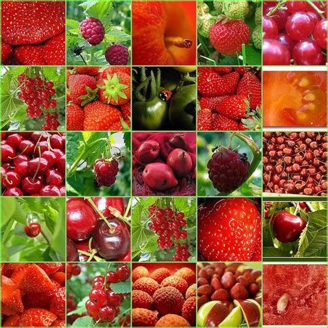 Red Green Fruits Vegetables Fruit5 Drsmoothie Green Fruits And