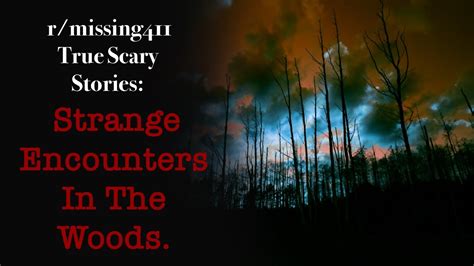 True Scary Stories From Rmissing411 Strange Encounters In The Woods