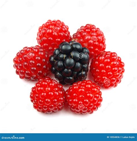 Berries Stock Photo Image Of Sweet Mulberry Healthy 10554836
