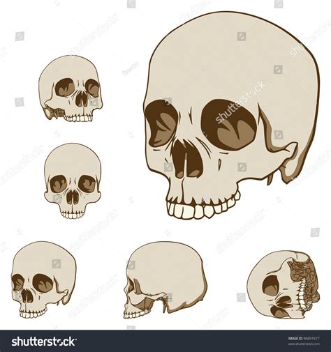 Set Five Drawings Human Skull Vector Stock Vector 96891877 - Shutterstock