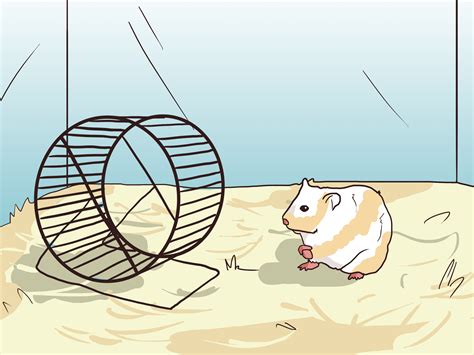 Free Hamster Cage Cliparts Download Free Hamster Cage Cliparts Png