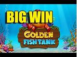 Images of Big Fish Online Casino