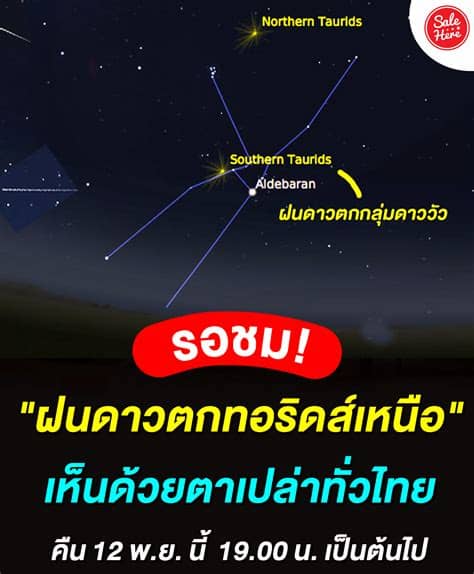 ทั้งนี้ ปรากฏการณ์ฝนดาวตกทอริด ที่ได้เกิดขึ้นตั้งแต่วันที่ 20 ตุลาคมถึงวันที่ 20 พฤศจิกายนนี้ มีอัตราการตกสูงสุดประมาณ 5 ดวง ต่อชั่วโมง ซึ่ง. บำรุงสายตา เอวายฟินนิกซ์ By ดีเจทันยะ - Posts | Facebook