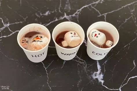 Hot Cocoa And Marshmallows Melting Snowmen Experiment Mombrite