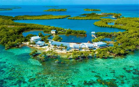 9 Great Things to Do in Belize City in June 2024 - wyandottedaily.com