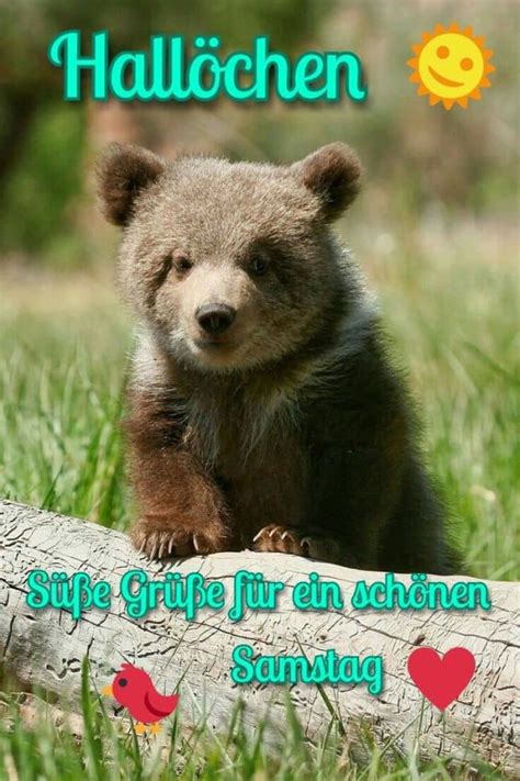 Da die umwandlung im browser stattfindet, ist es auch egal ob du mac os, windows, oder linux benutzt. Schönen Guten Morgen Samstag Bilder Kostenlos