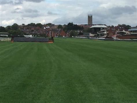 A lawn is an area of land planted with grasses or (rarely) other durable plants, which are maintained at a short height and used for aesthetic and recreational purposes. Racecourse managers turn to Tetraploid grass varieties to ...