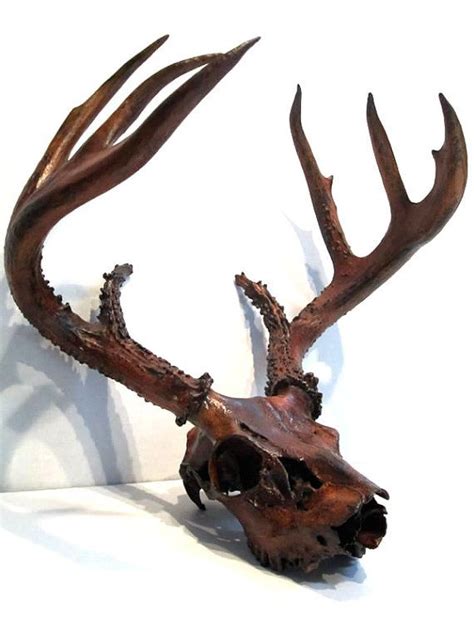 Deer Skull Black Iron And Rust Natural Patina By Customantlers 29500